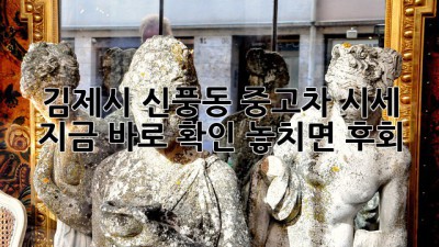 김제시 신풍동 중고차 시세 🚗💨 지금 바로 확인! 놓치면 후회!