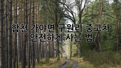 합천 가야면 구원리 중고차? 안전하게 사는 법!
