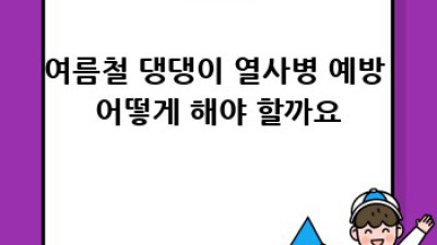 댕댕이 여름나기 완벽 가이드: 열사병 걱정 끝! 강아지 계절별 관리